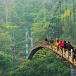 Best Time to Visit Meghalaya: A Complete Travel Guide for 2025
