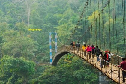 Best Time to Visit Meghalaya: A Complete Travel Guide for 2025