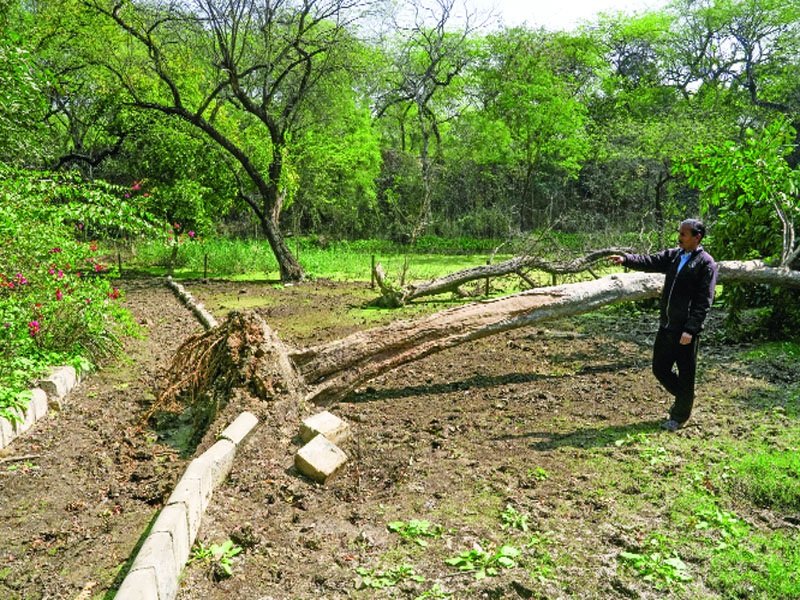 Causes of Earthquakes in Delhi